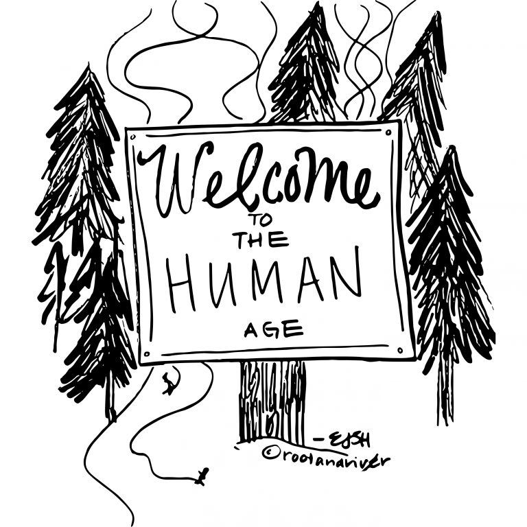 Welcome to the Human Age