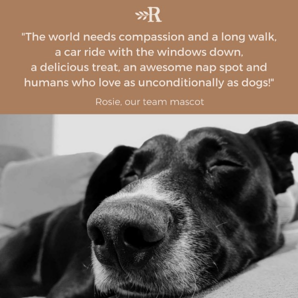 Rosie the Dog thoughts on compassion