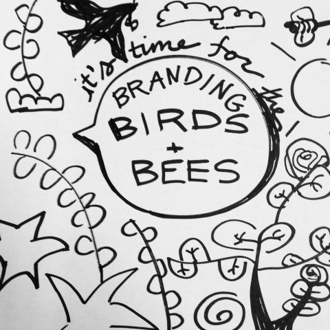Handwritten Text Branding Birds + Bees